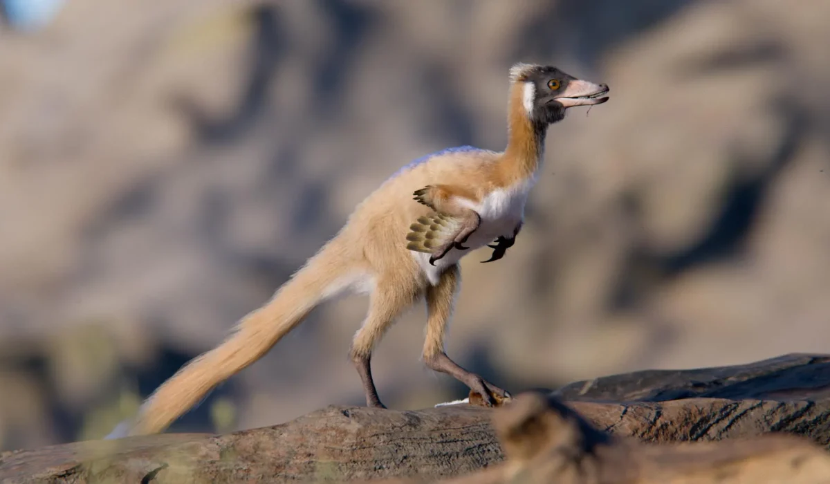 Discovery of Tiny Dinosaur Alnashetri Cerropoliciensis Offers New Insights into Evolution of Alvarezsaurs