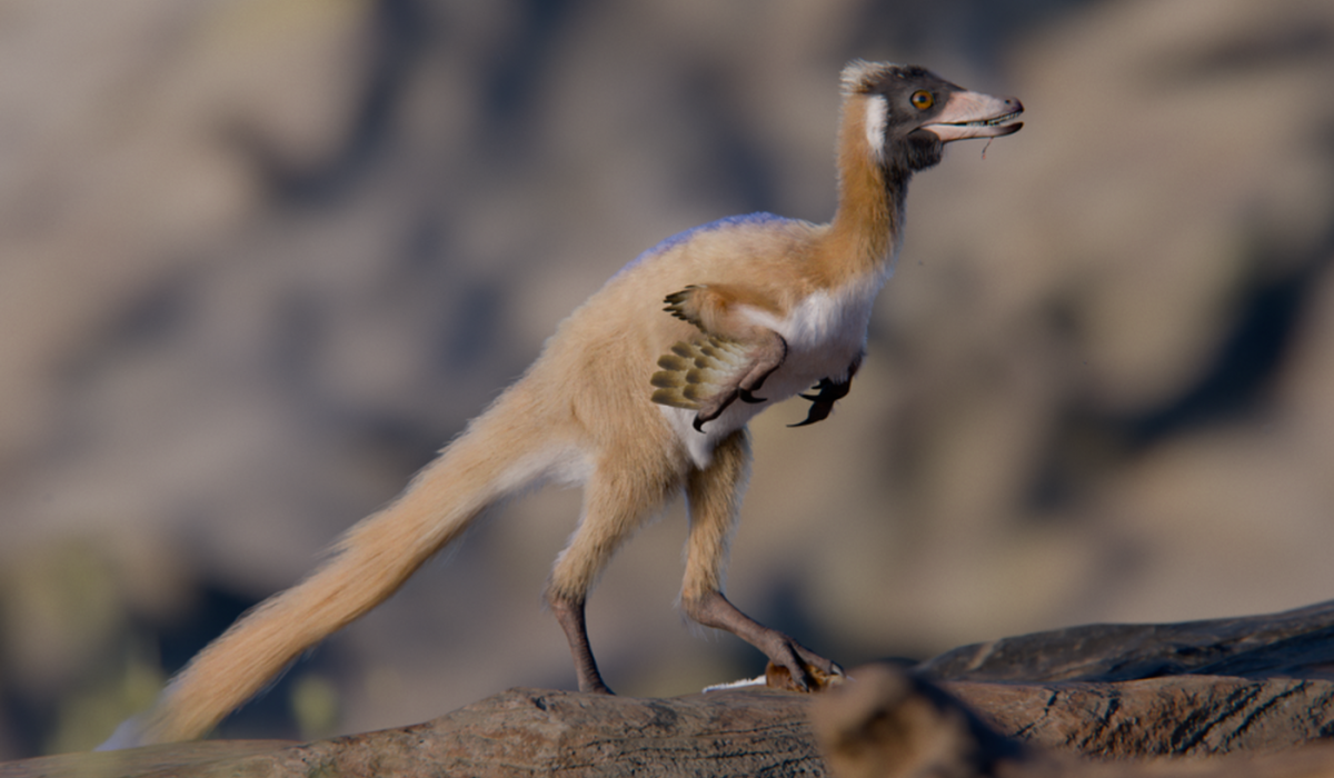 Discovery of Tiny Long-Armed Dinosaur Revises Understanding of Dinosaur Miniaturization