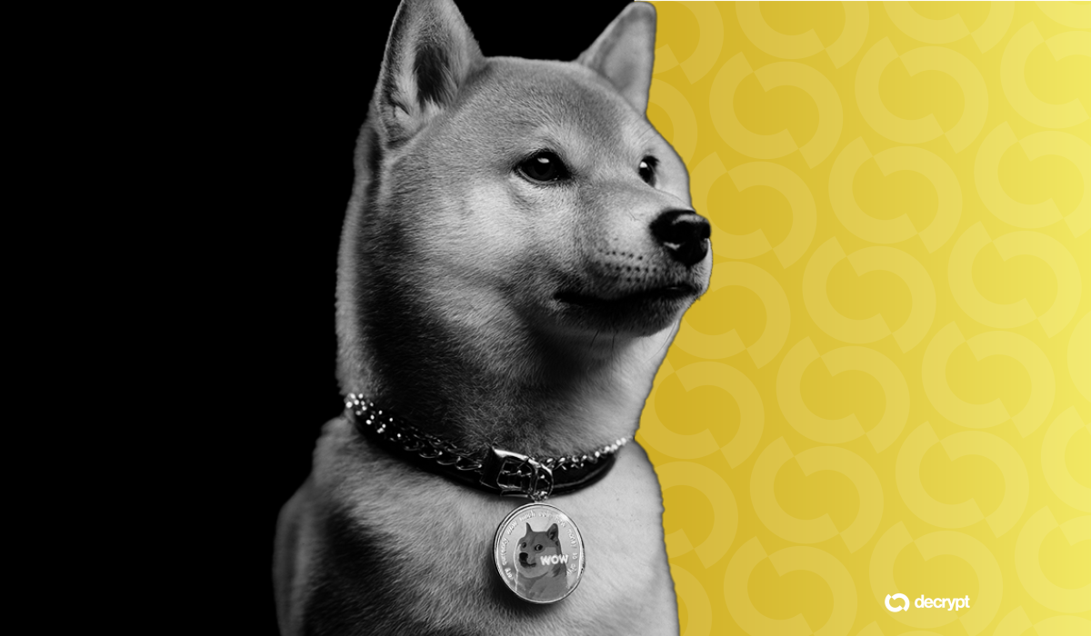 Dogecoin Declines Sharply as Bitcoin Sheds Recent Gains