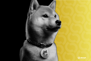 Dogecoin Declines Sharply as Bitcoin Sheds Recent Gains