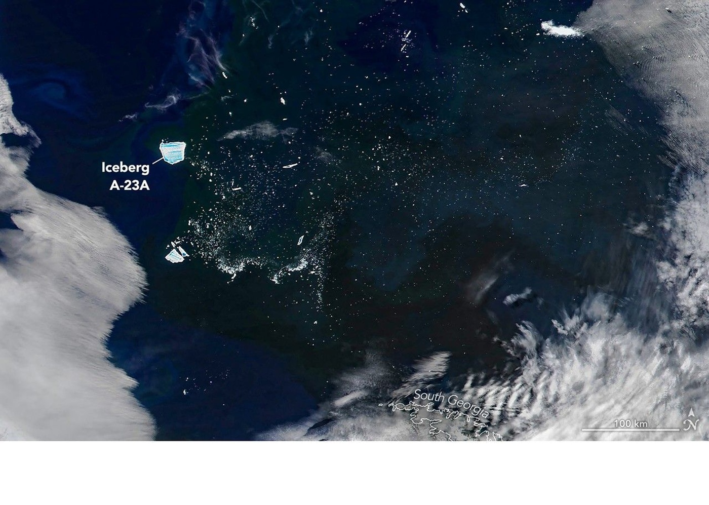 Disintegration of Iceberg A-23A Triggers Massive Phytoplankton Bloom in South Atlantic Ocean
