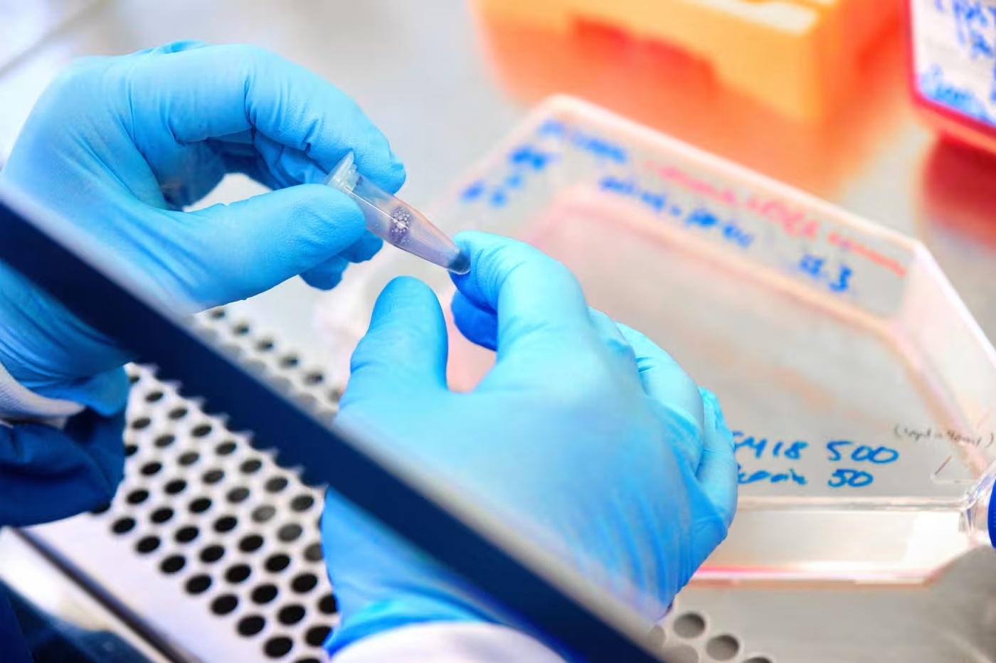 Zealand Pharma Shares Plummet Following Disappointing Weight-Loss Drug Trial Results