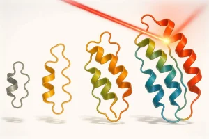 Light-Guided Evolution Advances Protein Engineering for Dynamic Biological Functions