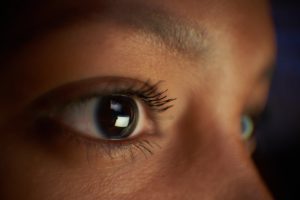 New Hypothesis Suggests Vertebrate Eyes Were Rebuilt After Ancestral Loss