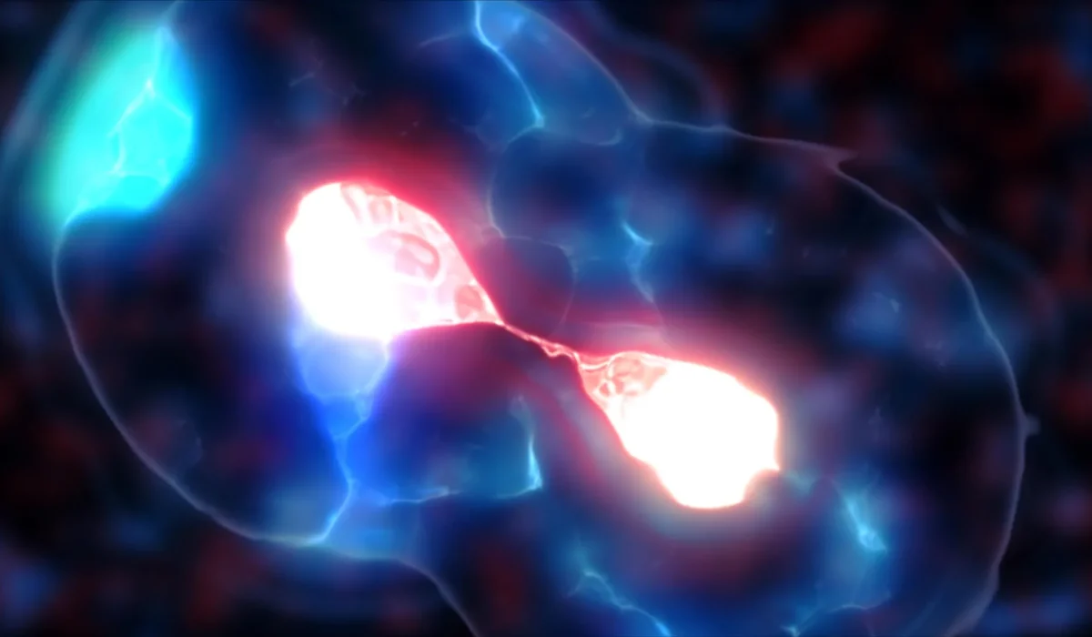 Scientists Uncover How Brewer’s Yeast Developed Tiny Centromeres