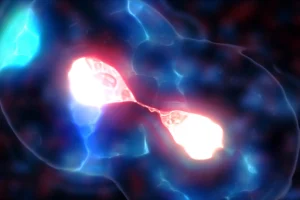 Scientists Uncover How Brewer’s Yeast Developed Tiny Centromeres