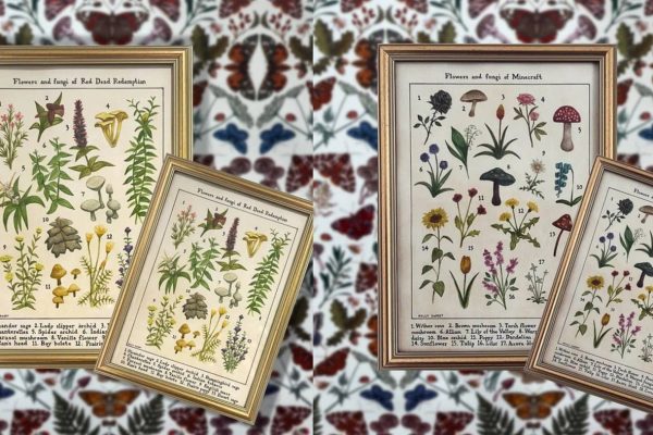 Stunning Wildlife Identification Paintings Bring Natural Beauty to Gaming Enthusiasts Homes